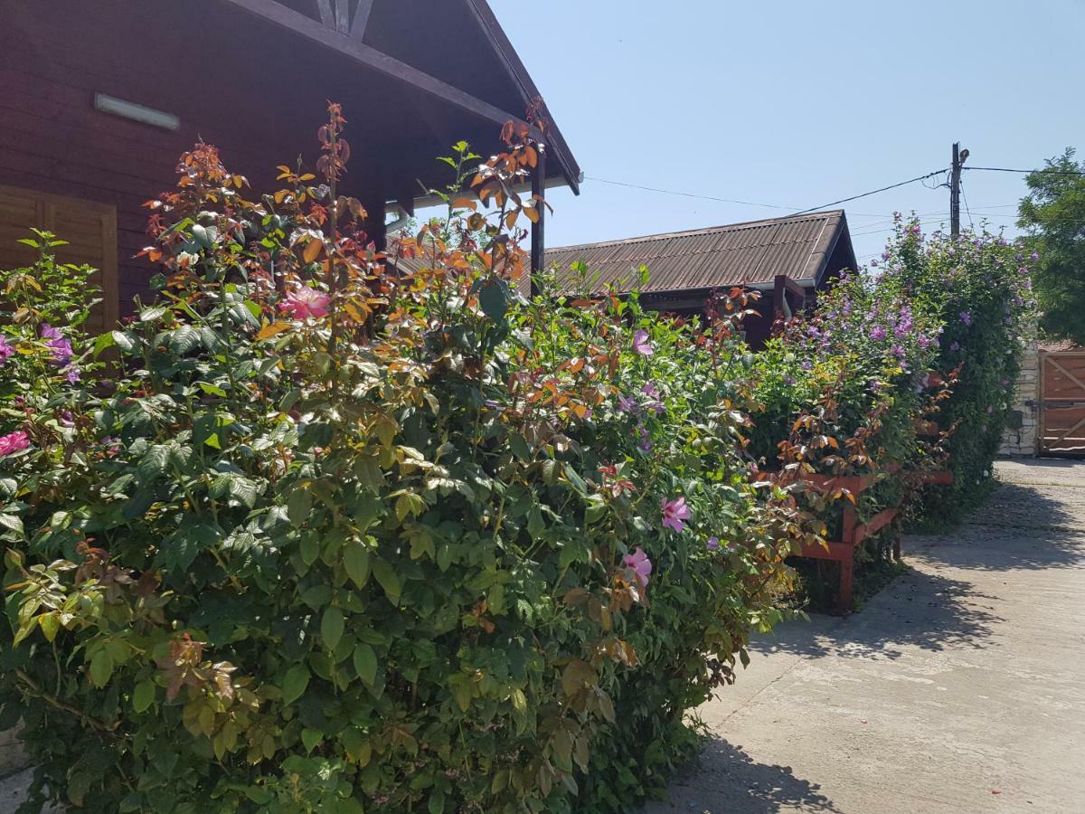 Colt De Rai Otel Corbu  Dış mekan fotoğraf