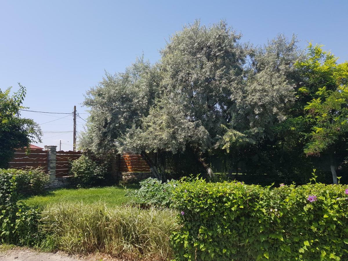 Colt De Rai Otel Corbu  Dış mekan fotoğraf